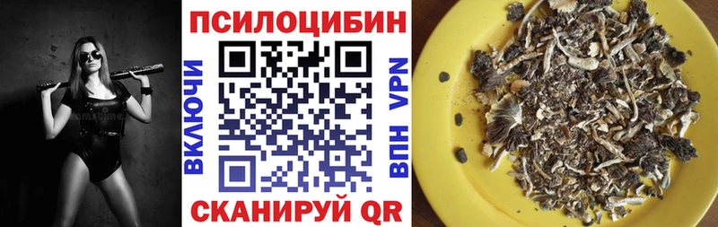 Галлюциногенные грибы Magic Shrooms  Купить закладки  Данилов 